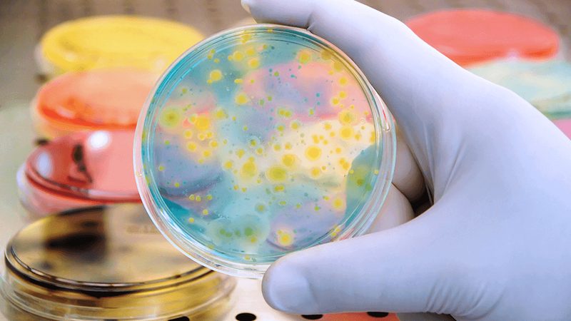 进口分子生物学试剂：如何选择合适的批发供应商**