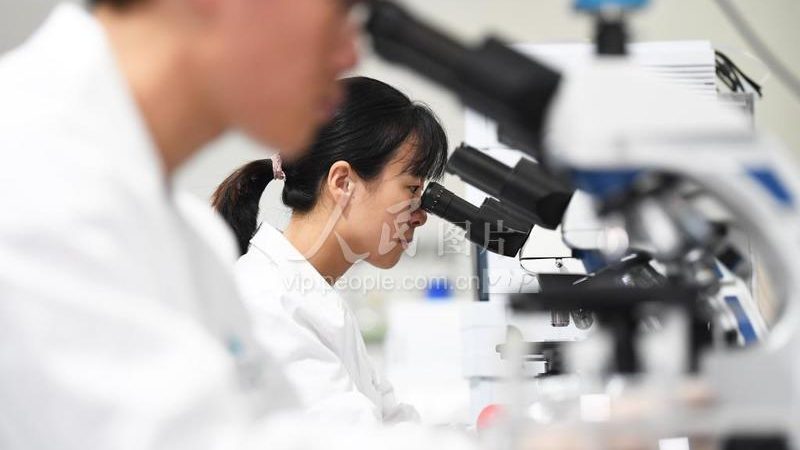 体外诊断试剂：揭秘其生产与行业排名背后的逻辑