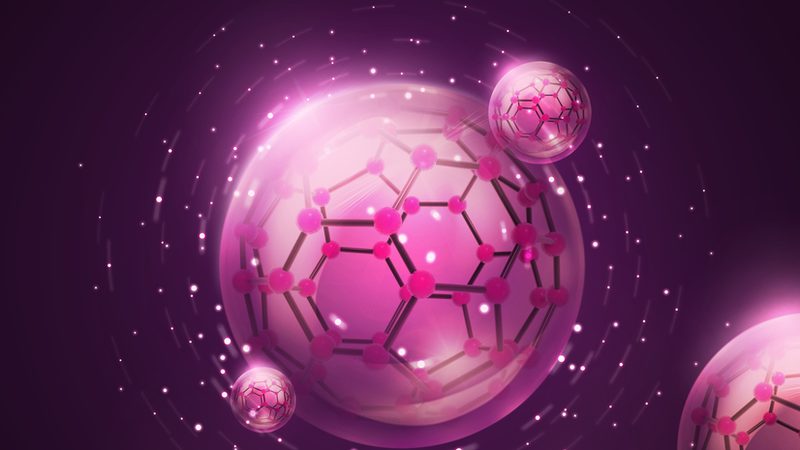 引物合成质量对比方法