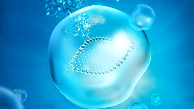 干细胞培养基：揭秘其背后的科学奥秘与应用**