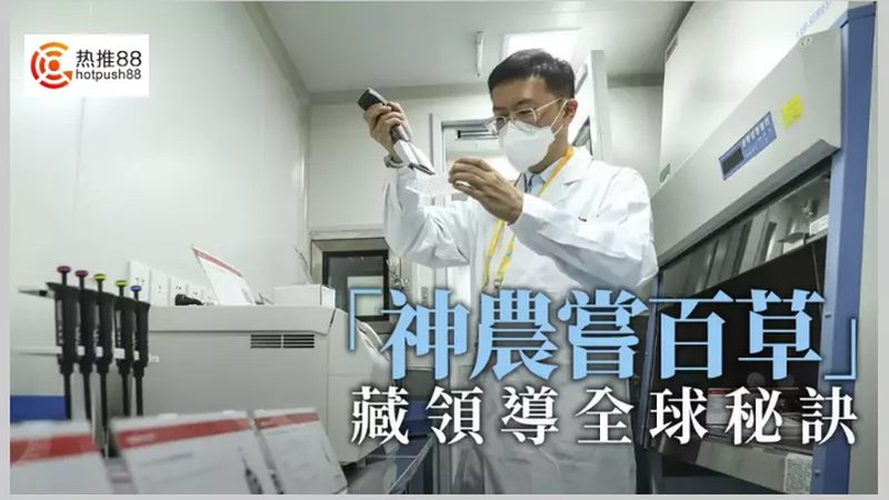 CRo与A/B测试实操步骤解析：从概念到实践