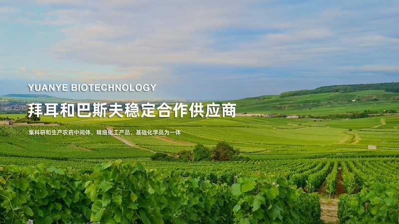 生物制品定制加工CDMO：揭秘其背后的技术奥秘与行业价值