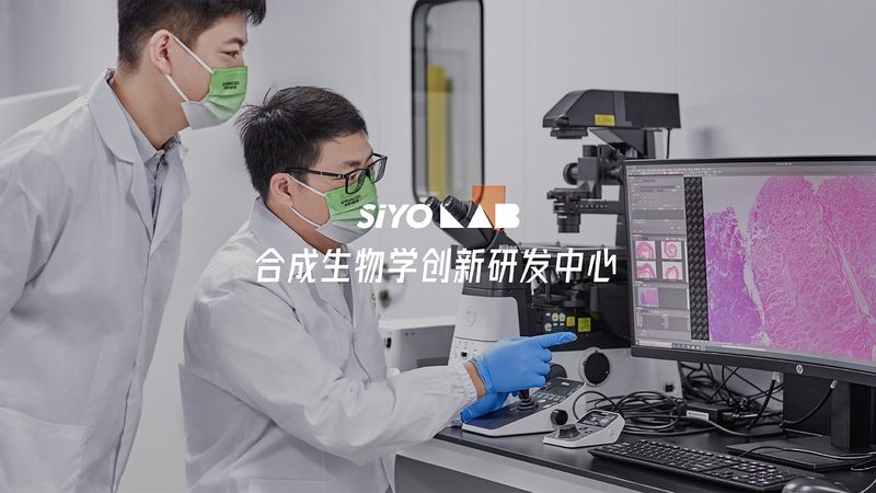 家用PCR检测结果怎么看