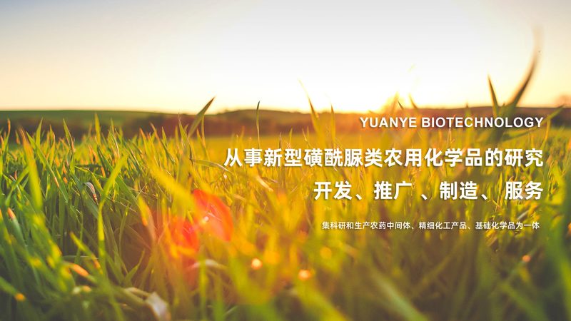 工业级培养基批量报价：揭秘背后的关键因素**