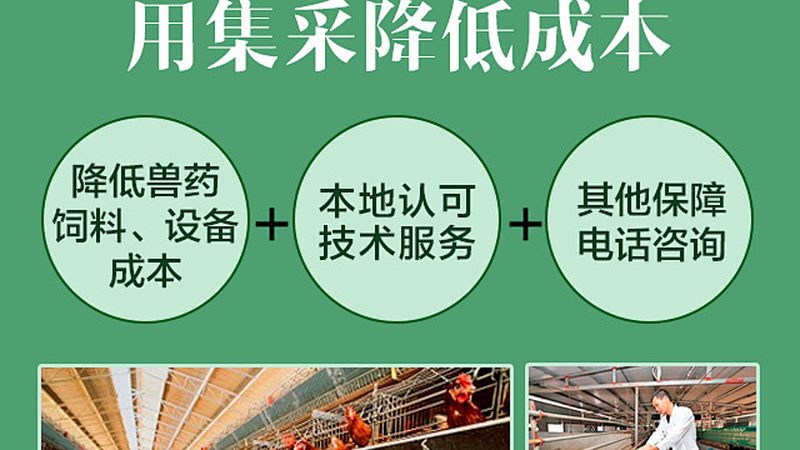 成都病理实验室耗材：揭秘报价背后的关键因素