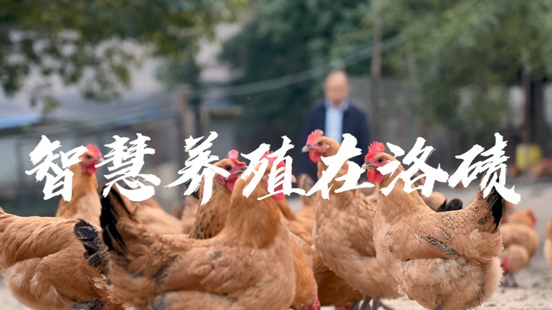 细胞培养基质量检测：守护细胞实验的纯净之源