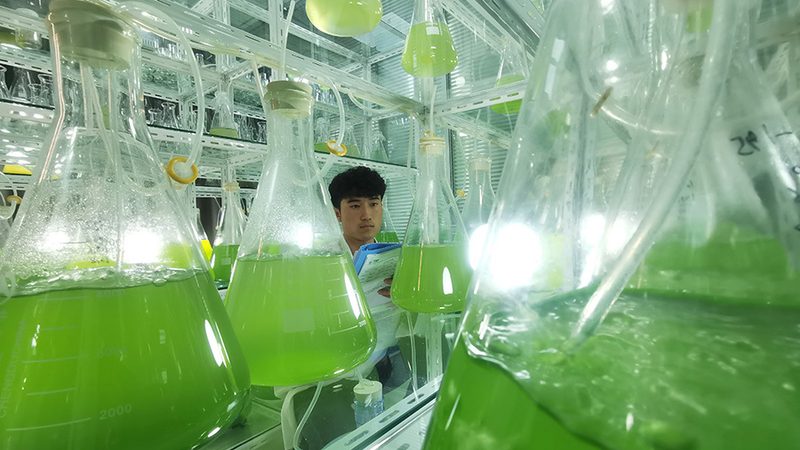 CRo行业未来：趋势与挑战并存